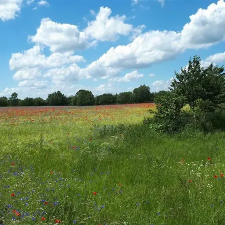 Ostwind Und Seeblick Lejlighed Hohenfelde (Plon)