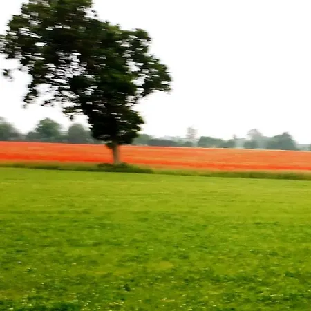 Lejlighed Ostwind Und Seeblick *